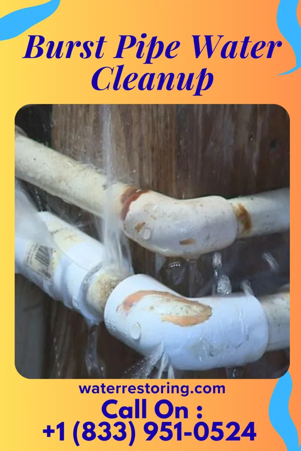 Burst Pipe Water Cleanup in Oil City, PA