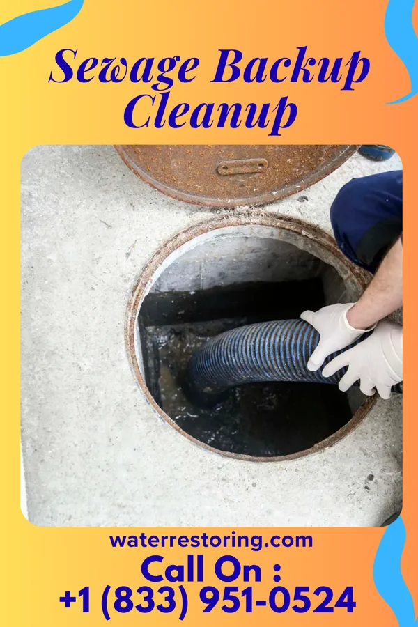 Sewage Backup Cleanup in Oil City, PA