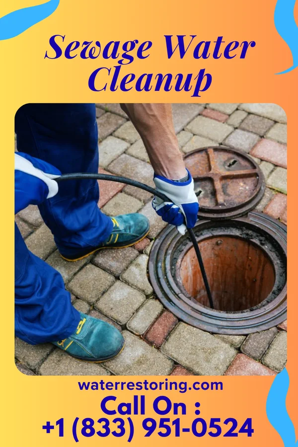 Sewage Water Cleanup in Oil City, PA